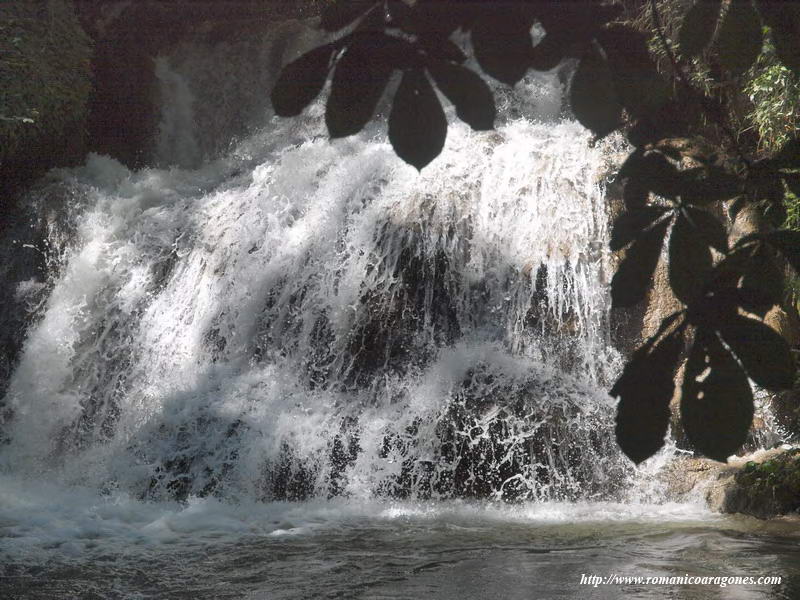 EL OMNIPRESENTE AGUA